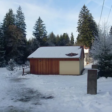 Chalet Au Bord Du Lac De Longemer Xonrupt-Longemer Exterior photo