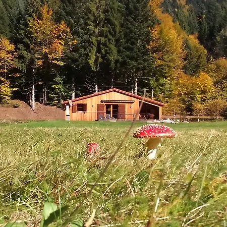Chalet Au Bord Du Lac De Longemer Xonrupt-Longemer Exterior photo