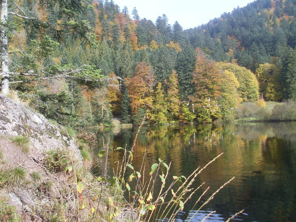 Au Bord Du De Longemer Chalet *