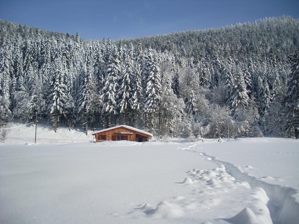 Au Bord Du De Longemer *